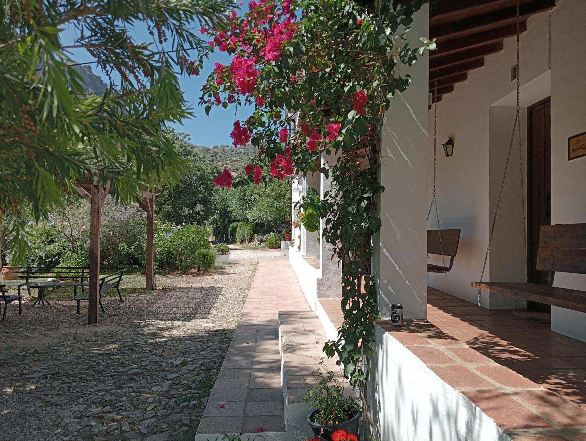 Casa Rural La Maquinilla Grazalema Exterior photo