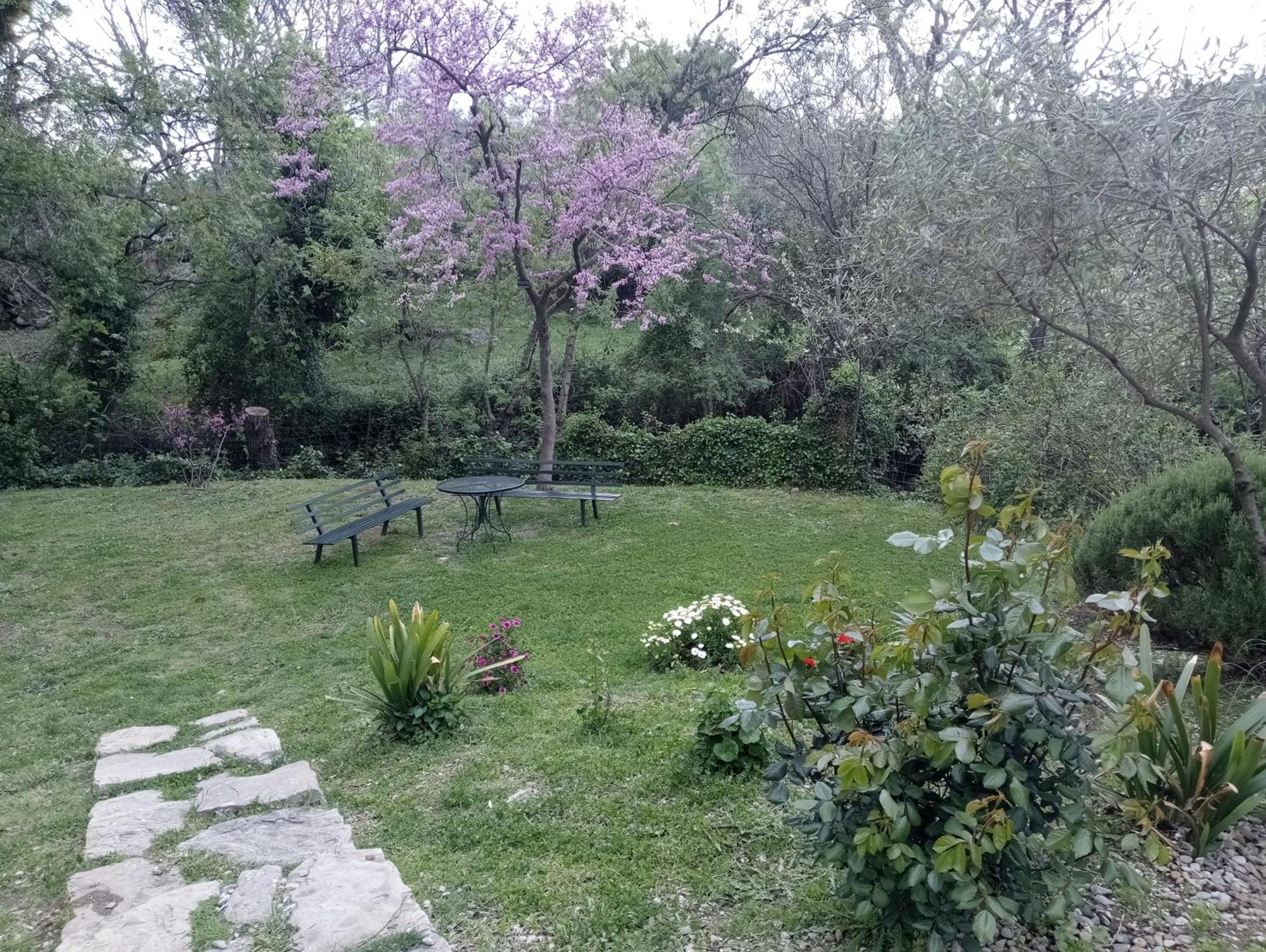 Casa Rural La Maquinilla Grazalema Exterior photo